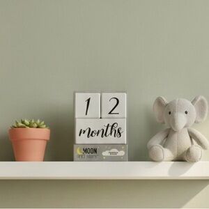 NIB Moon and Stars Wooden Baby Milestone Blocks - Nursery Photo Prop